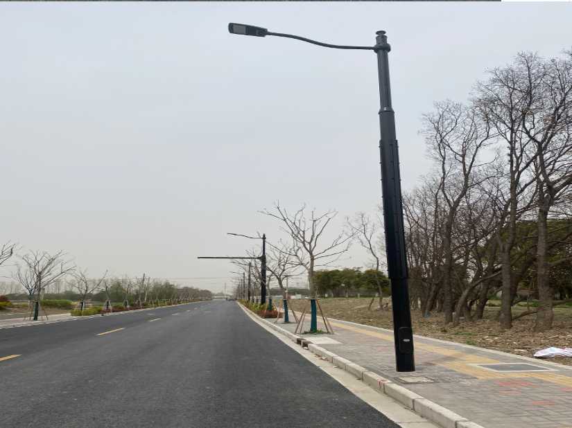 蚌山区上海综合杆 太阳能路灯工程